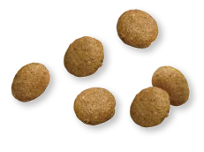 小型犬でも食べやすい粒